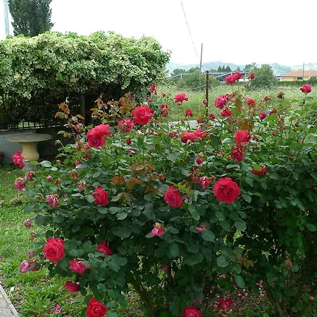Lejlighed All'antico Prato